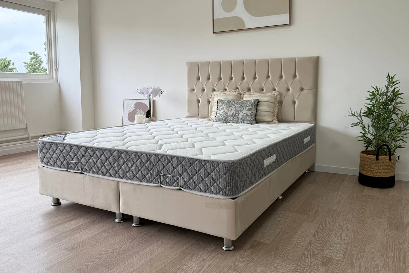 Lit Coffre Hugo Capitonnée Velours