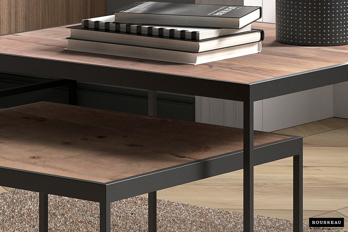 Table basse Quinn Lot de 2 bois de manguier