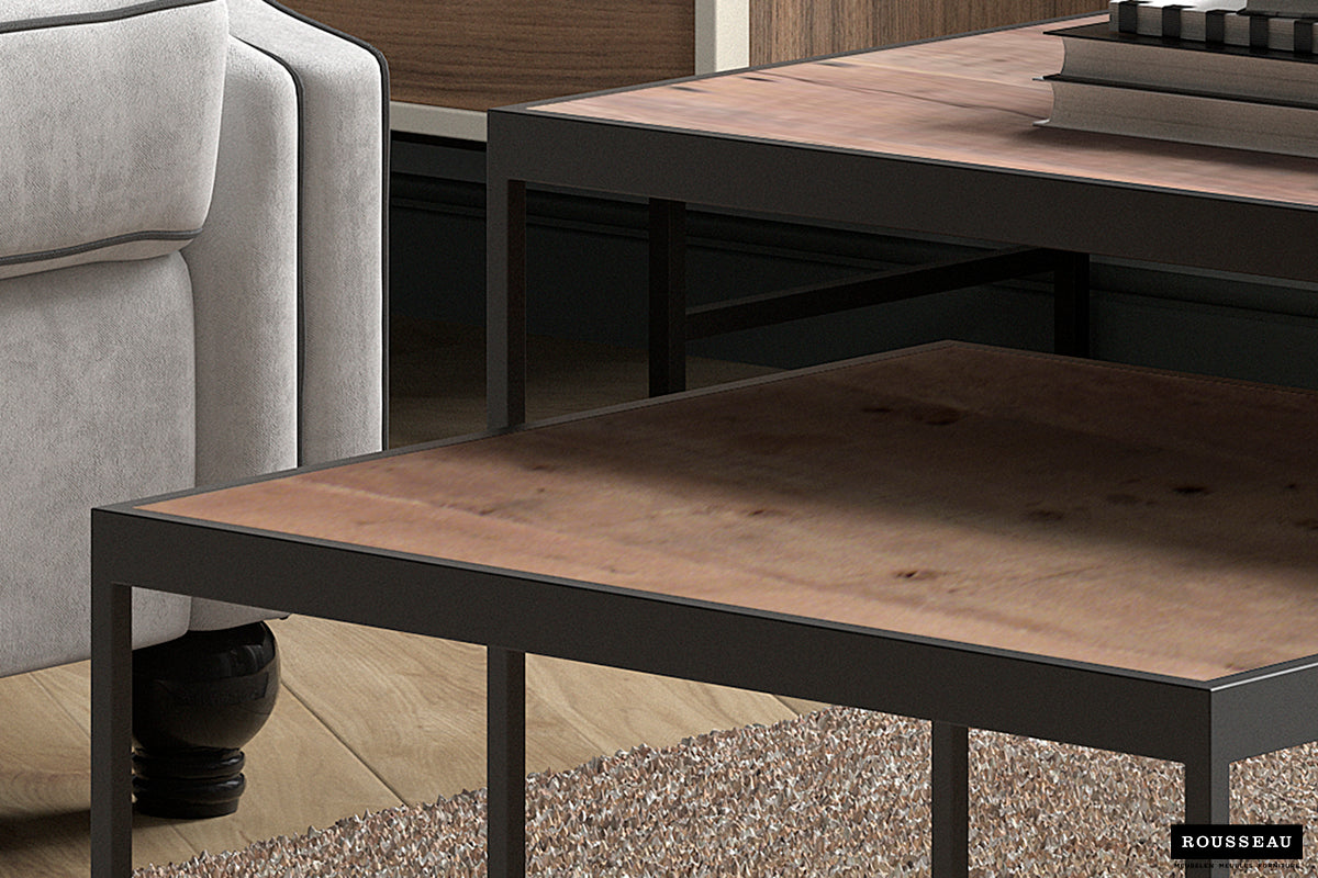 Table basse Quinn Lot de 2 bois de manguier
